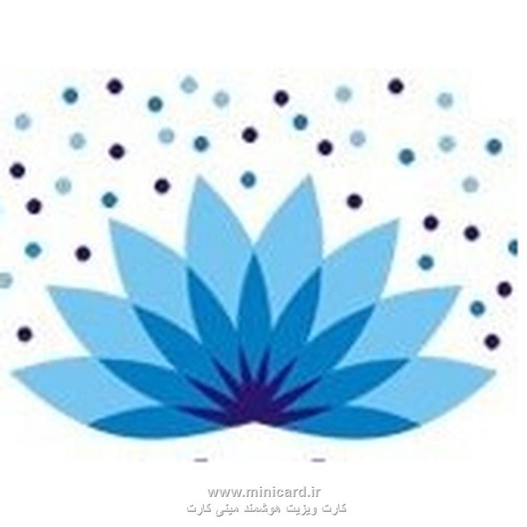 کارت ویزیت هوشمند مینی کارت